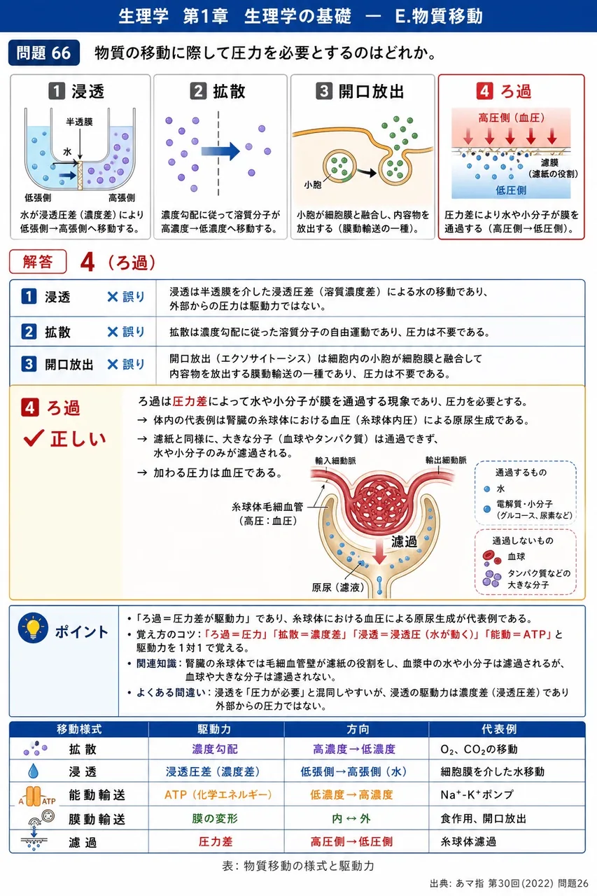 あマ指 第30回(2022) 問題26|物質の移動に際して圧力を必要とするのはどれか。 解説図