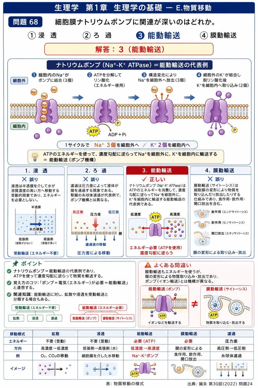 鍼灸 第30回(2022) 問題24|細胞膜ナトリウムポンプに関連が深いのはどれか。 解説図
