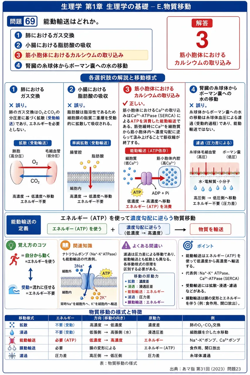 あマ指 第31回(2023) 問題23|能動輸送はどれか。 解説図