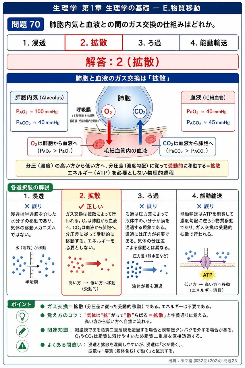 あマ指 第32回(2024) 問題23｜肺胞内気と血液との間のガス交換の仕組みはどれか。 解説図