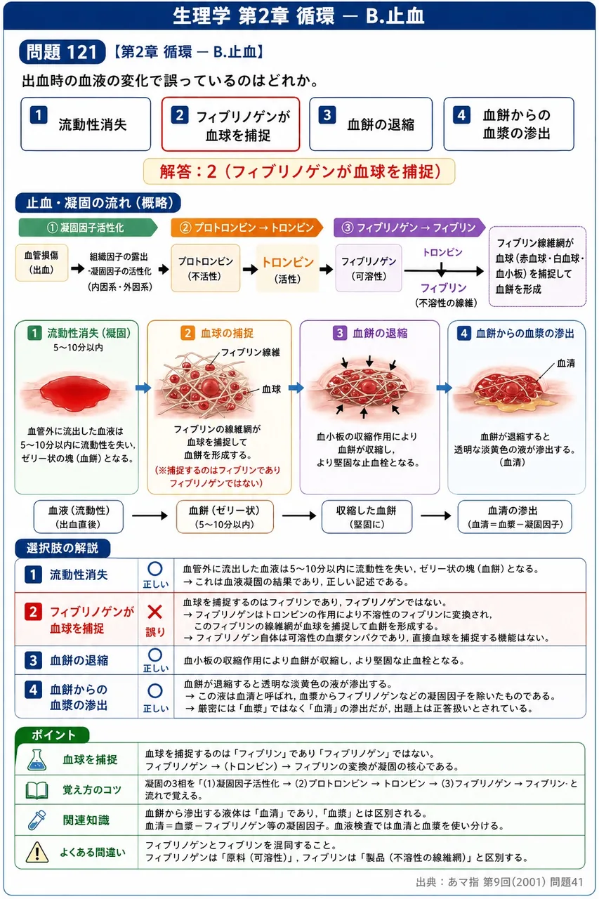 あマ指 第9回(2001) 問題41｜出血時の血液の変化で誤っているのはどれか。 解説図