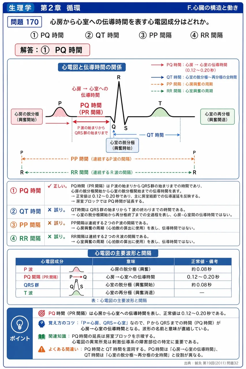 鍼灸 第19回(2011) 問題32｜心房から心室への伝導時間を表す心電図成分はどれか。 解説図