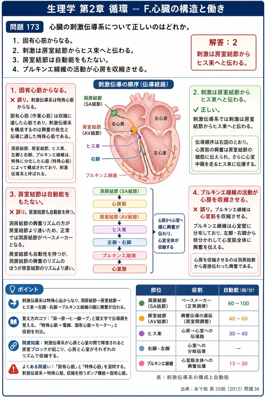 あマ指 第20回(2012) 問題36|心臓の刺激伝導系について正しいのはどれか。 解説図
