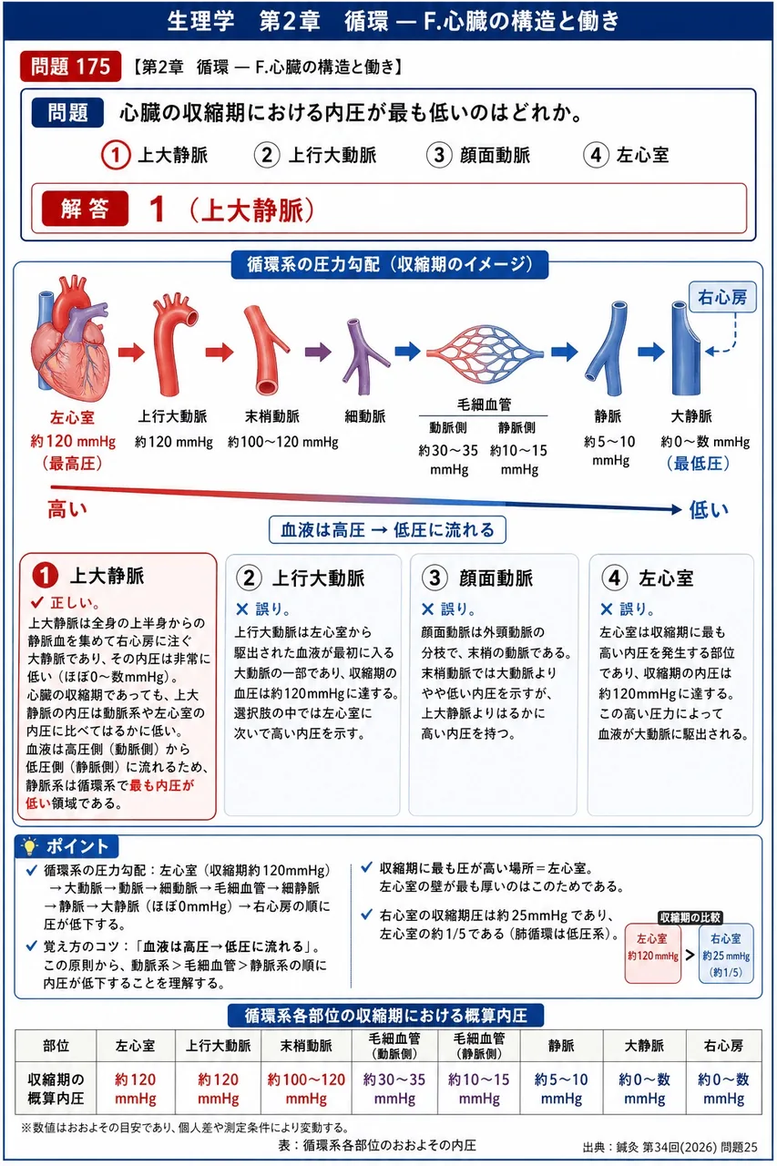 鍼灸 第34回(2026) 問題25|心臓の収縮期における内圧が最も低いのはどれか。 解説図