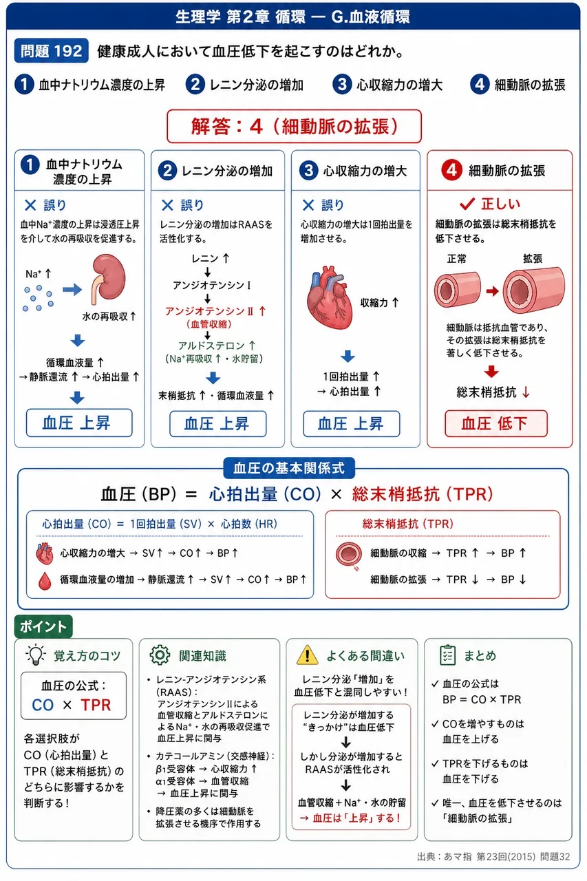 あマ指 第23回(2015) 問題32｜健康成人において血圧低下を起こすのはどれか。 解説図