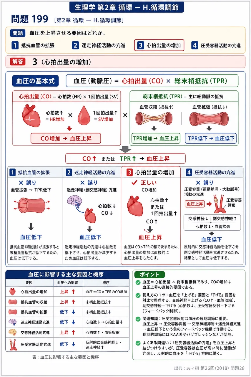 あマ指 第26回(2018) 問題28|血圧を上昇させる要因はどれか。 解説図