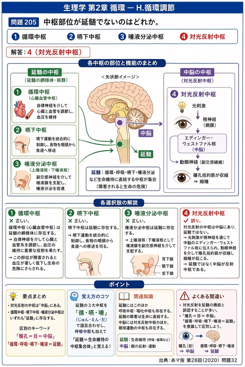 あマ指 第28回(2020) 問題32｜中枢部位が延髄でないのはどれか。 解説図