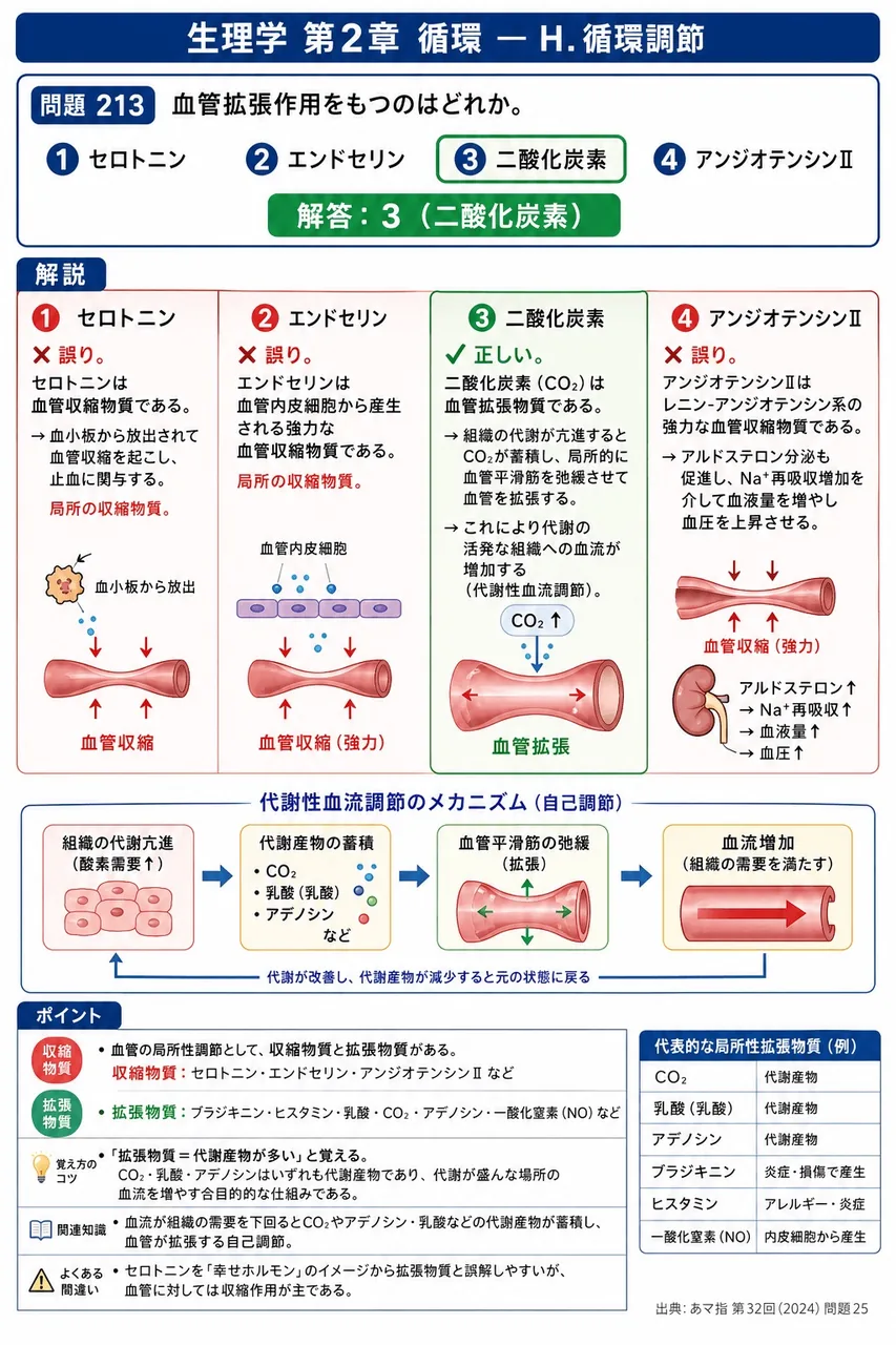 あマ指 第32回(2024) 問題25｜血管拡張作用をもつのはどれか。 解説図