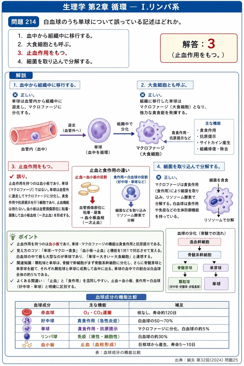 鍼灸 第32回(2024) 問題25|白血球のうち単球について誤っている記述はどれか。 解説図