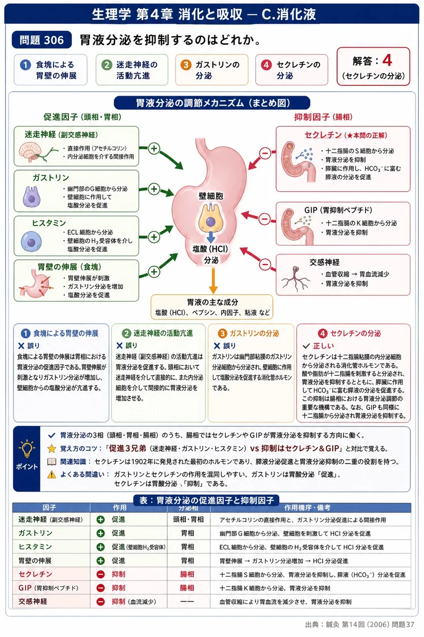 鍼灸 第14回(2006) 問題37|胃液分泌を抑制するのはどれか。 解説図