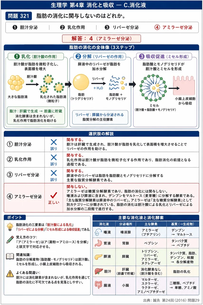 鍼灸 第24回(2016) 問題29｜脂肪の消化に関与しないのはどれか。 解説図