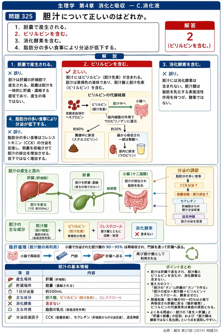 鍼灸 第27回(2019) 問題35|胆汁について正しいのはどれか。 解説図
