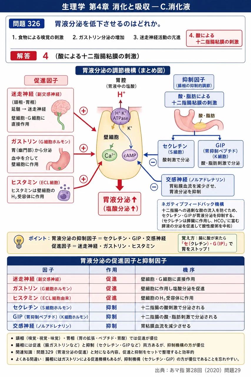 あマ指 第28回(2020) 問題29|胃液分泌を低下させるのはどれか。 解説図