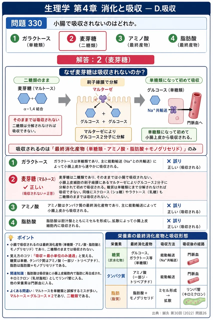 鍼灸 第30回(2022) 問題26|小腸で吸収されないのはどれか。 解説図