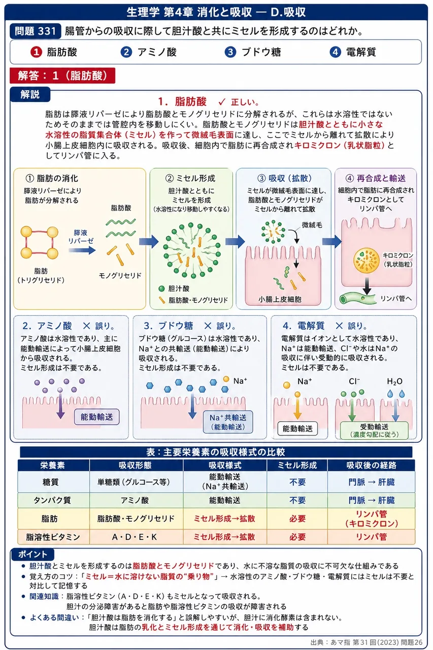 あマ指 第31回(2023) 問題26|腸管からの吸収に際して胆汁酸と共にミセルを形成するのはどれか。 解説図
