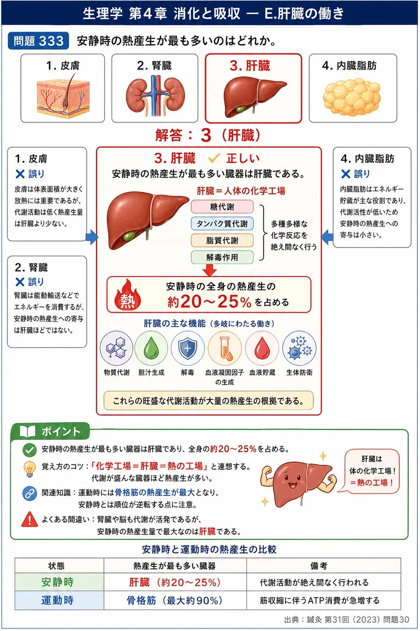 鍼灸 第31回(2023) 問題30｜安静時の熱産生が最も多いのはどれか。 解説図