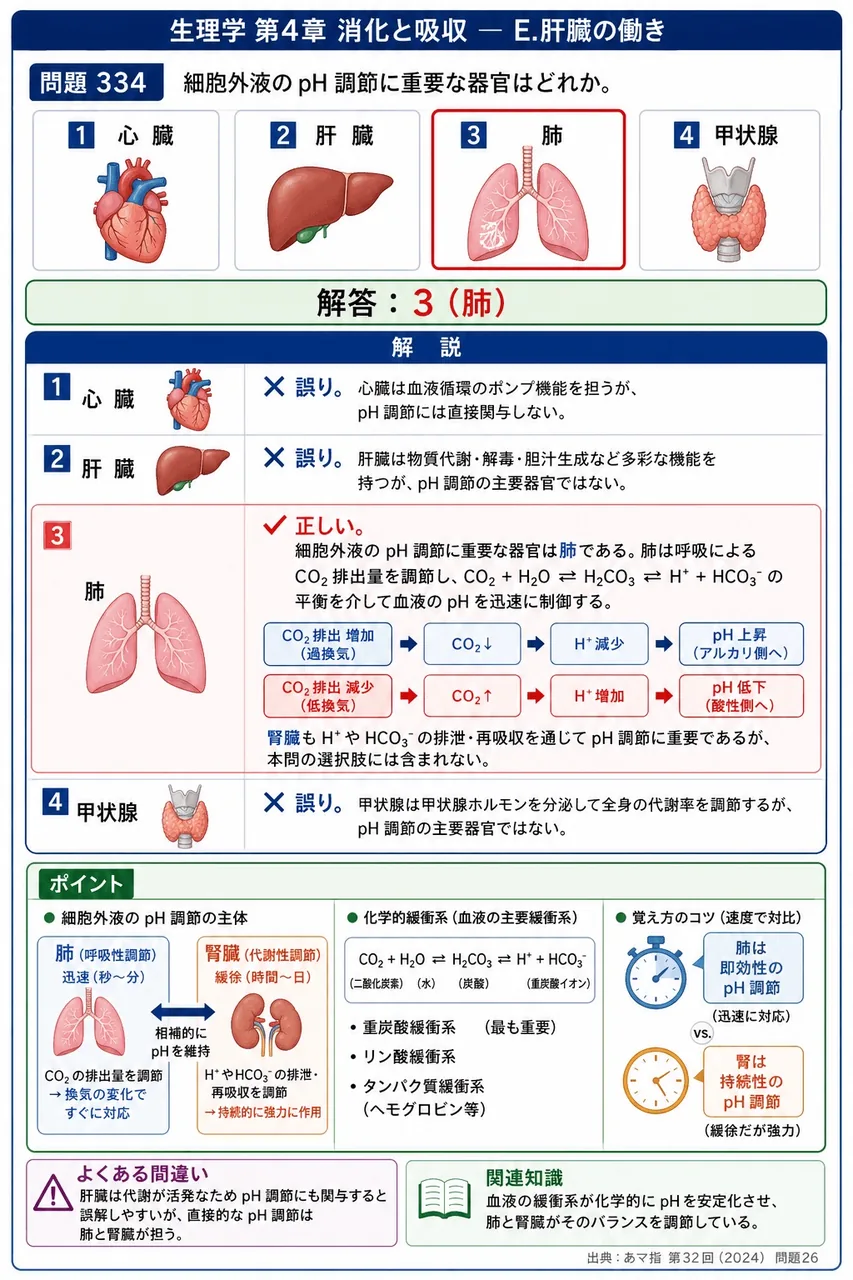 あマ指 第32回(2024) 問題26｜細胞外液のpH 調節に重要な器官はどれか。 解説図
