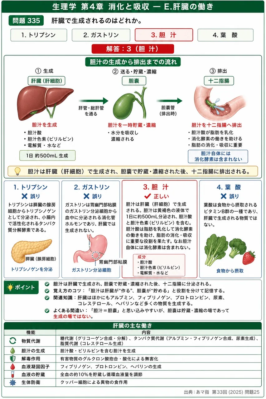 あマ指 第33回(2025) 問題25|肝臓で生成されるのはどれか。 解説図