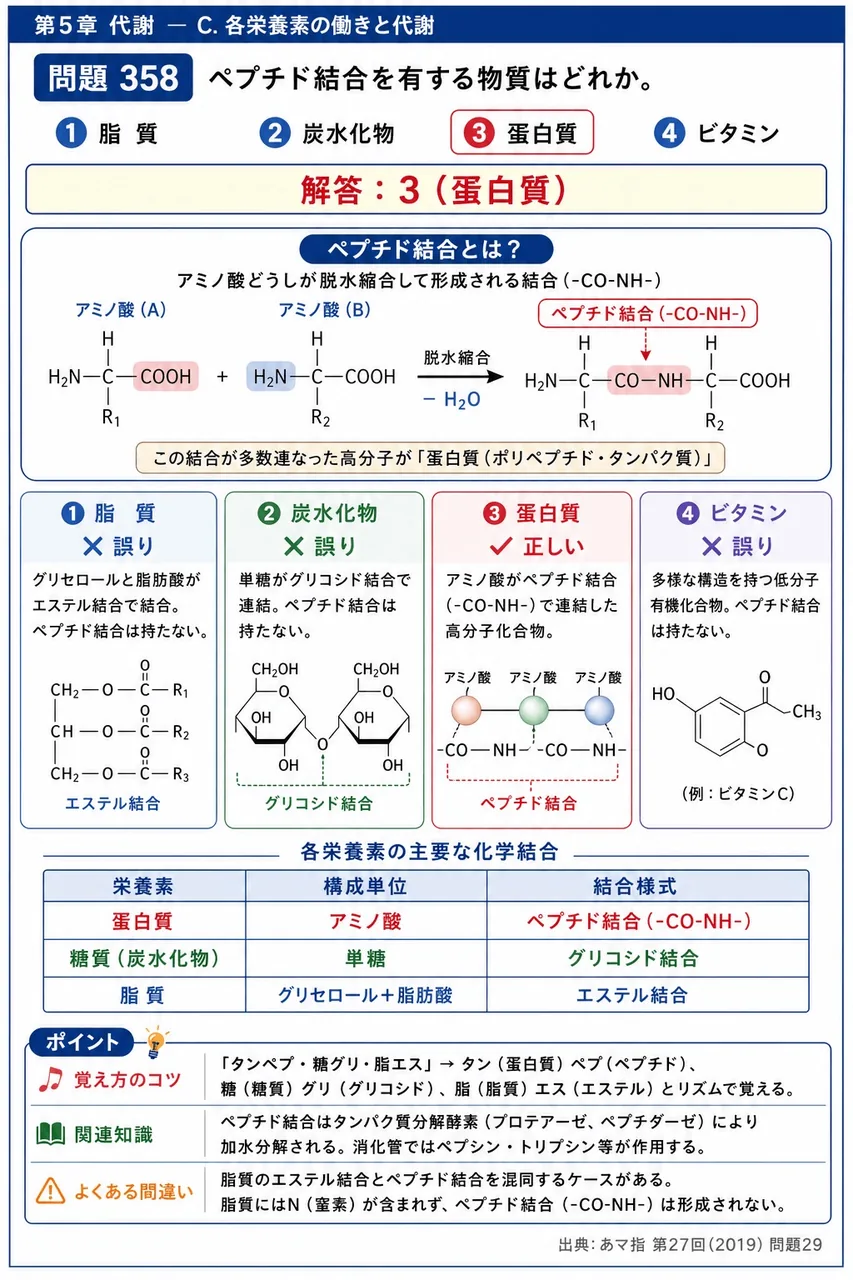 あマ指 第27回(2019) 問題29｜ペプチド結合を有する物質はどれか。 解説図