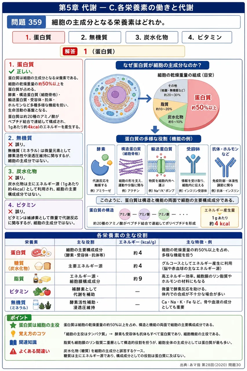 あマ指 第28回(2020) 問題30|細胞の主成分となる栄養素はどれか。 解説図