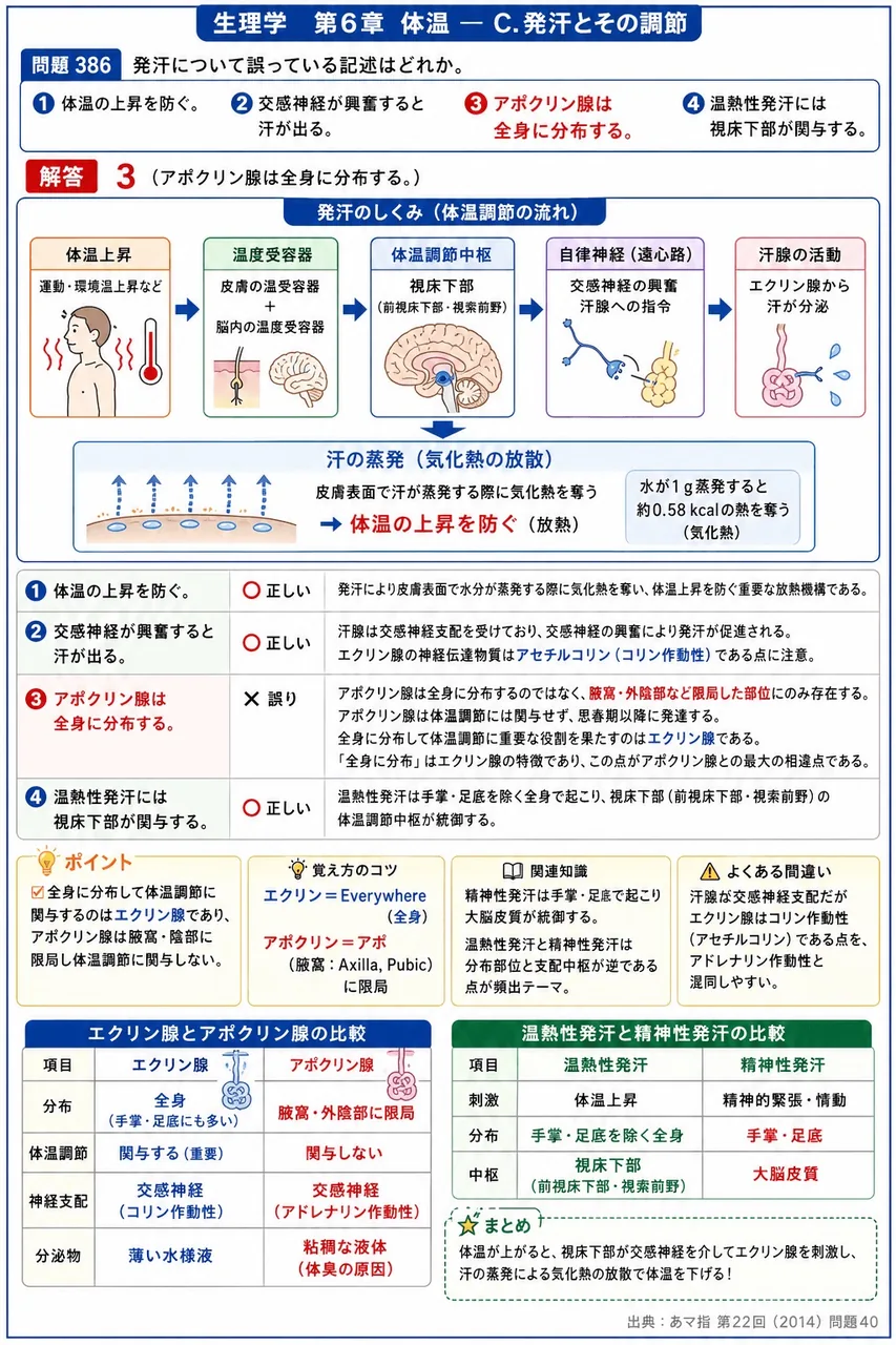 あマ指 第22回(2014) 問題40｜発汗について誤っている記述はどれか。 解説図