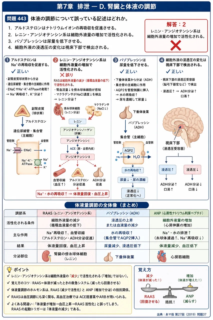 あマ指 第27回(2019) 問題37|体液の調節について誤っている記述はどれか。 解説図