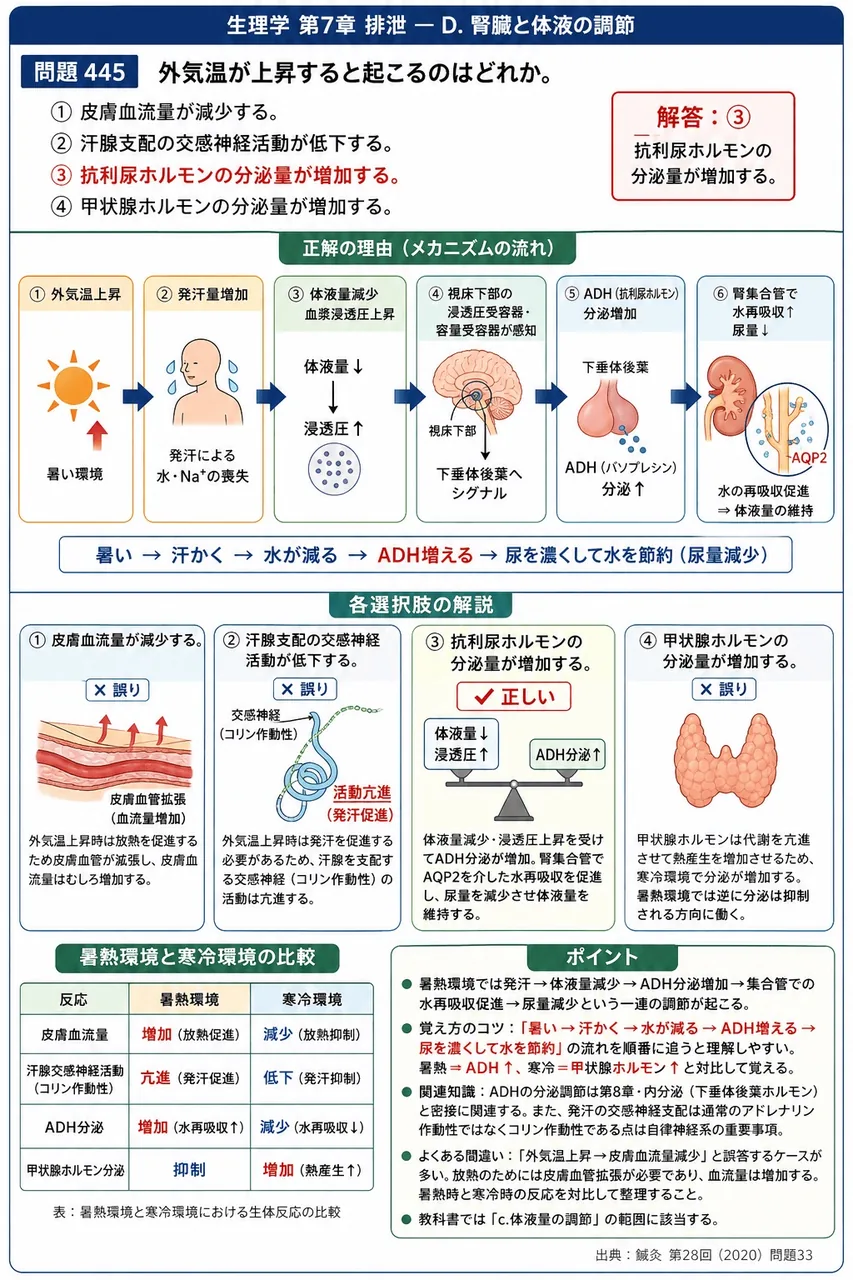 鍼灸 第28回(2020) 問題33|外気温が上昇すると起こるのはどれか。 解説図
