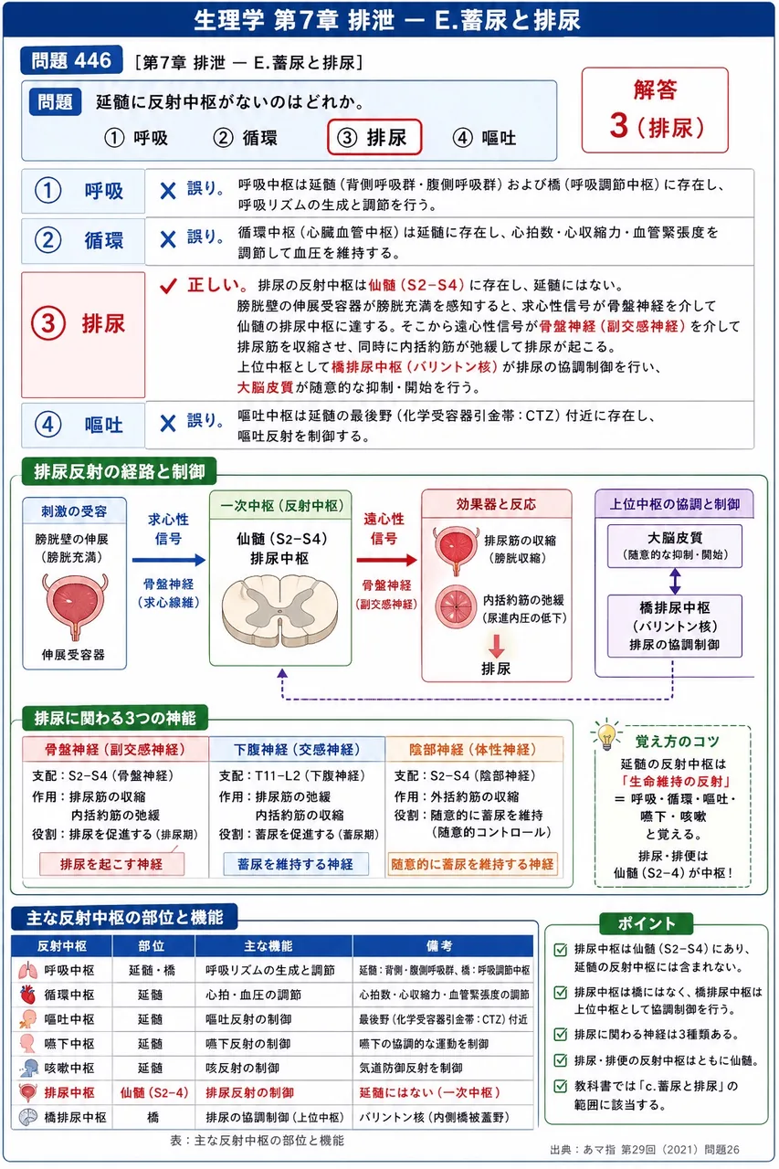 あマ指 第29回(2021) 問題26|延髄に反射中枢がないのはどれか。 解説図
