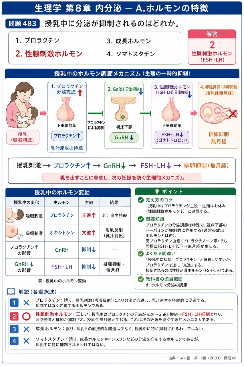 あマ指 第11回(2003) 問題49|授乳中に分泌が抑制されるのはどれか。 解説図