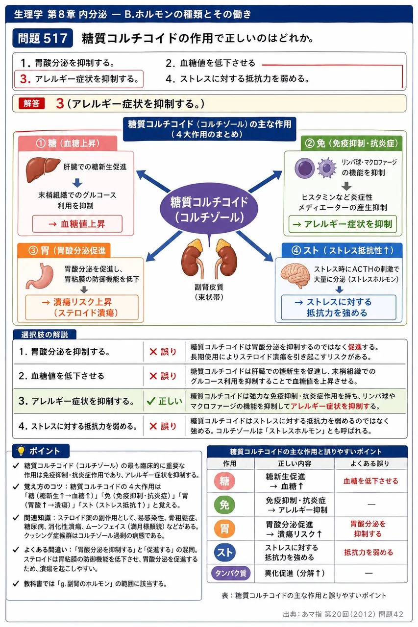 あマ指 第20回(2012) 問題42|糖質コルチコイドの作用で正しいのはどれか。 解説図