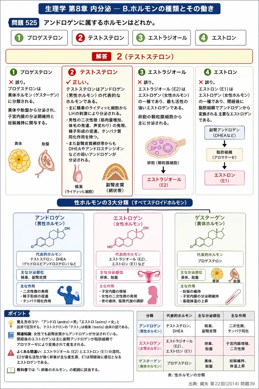 鍼灸 第22回(2014) 問題39|アンドロゲンに属するホルモンはどれか。 解説図