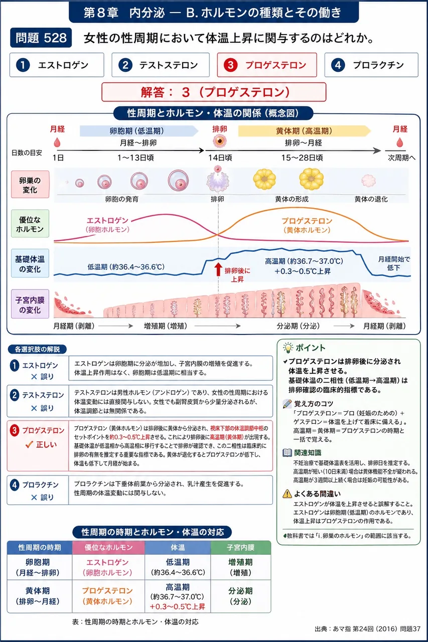 あマ指 第24回(2016) 問題37｜女性の性周期において体温上昇に関与するのはどれか。 解説図