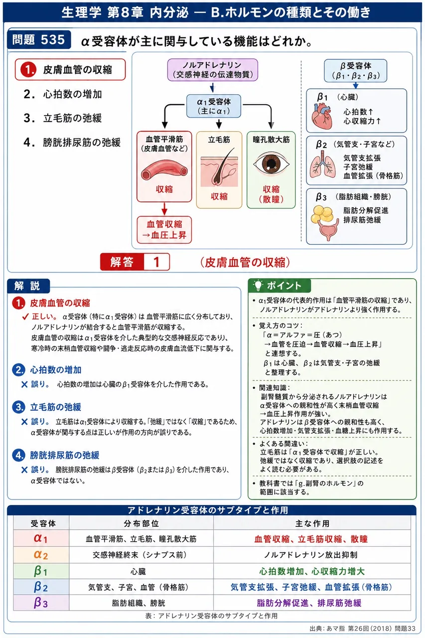 あマ指 第26回(2018) 問題33|α受容体が主に関与している機能はどれか。 解説図