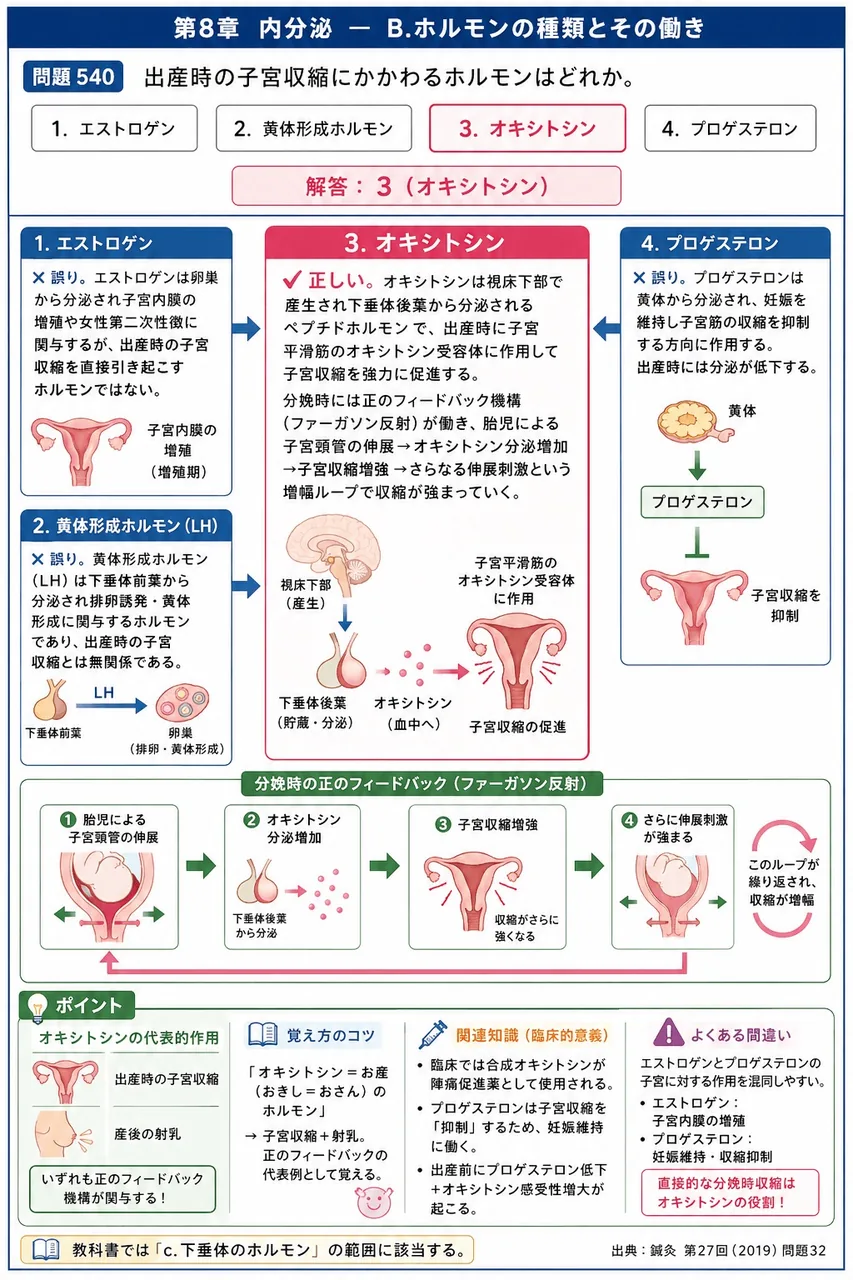 鍼灸 第27回(2019) 問題32｜出産時の子宮収縮にかかわるホルモンはどれか。 解説図