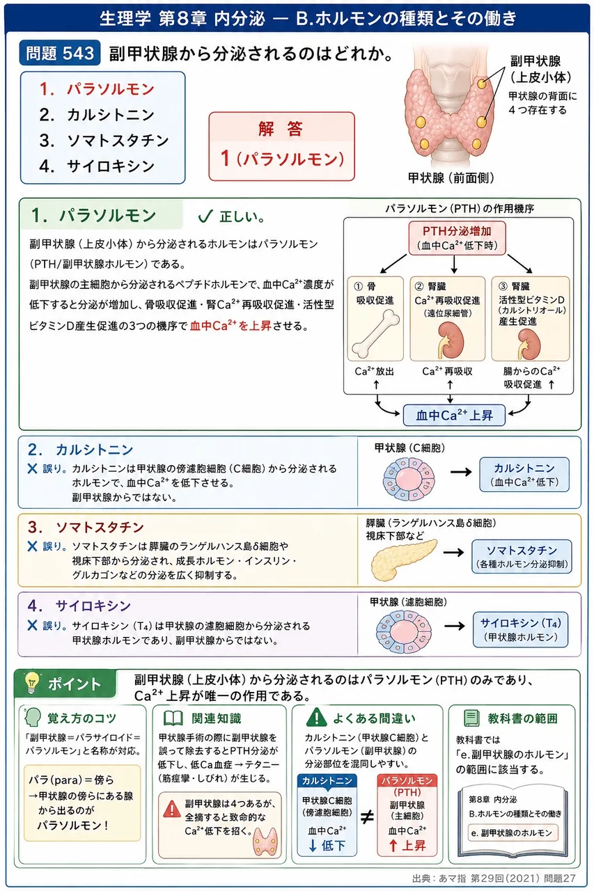 あマ指 第29回(2021) 問題27｜副甲状腺から分泌されるのはどれか。 解説図