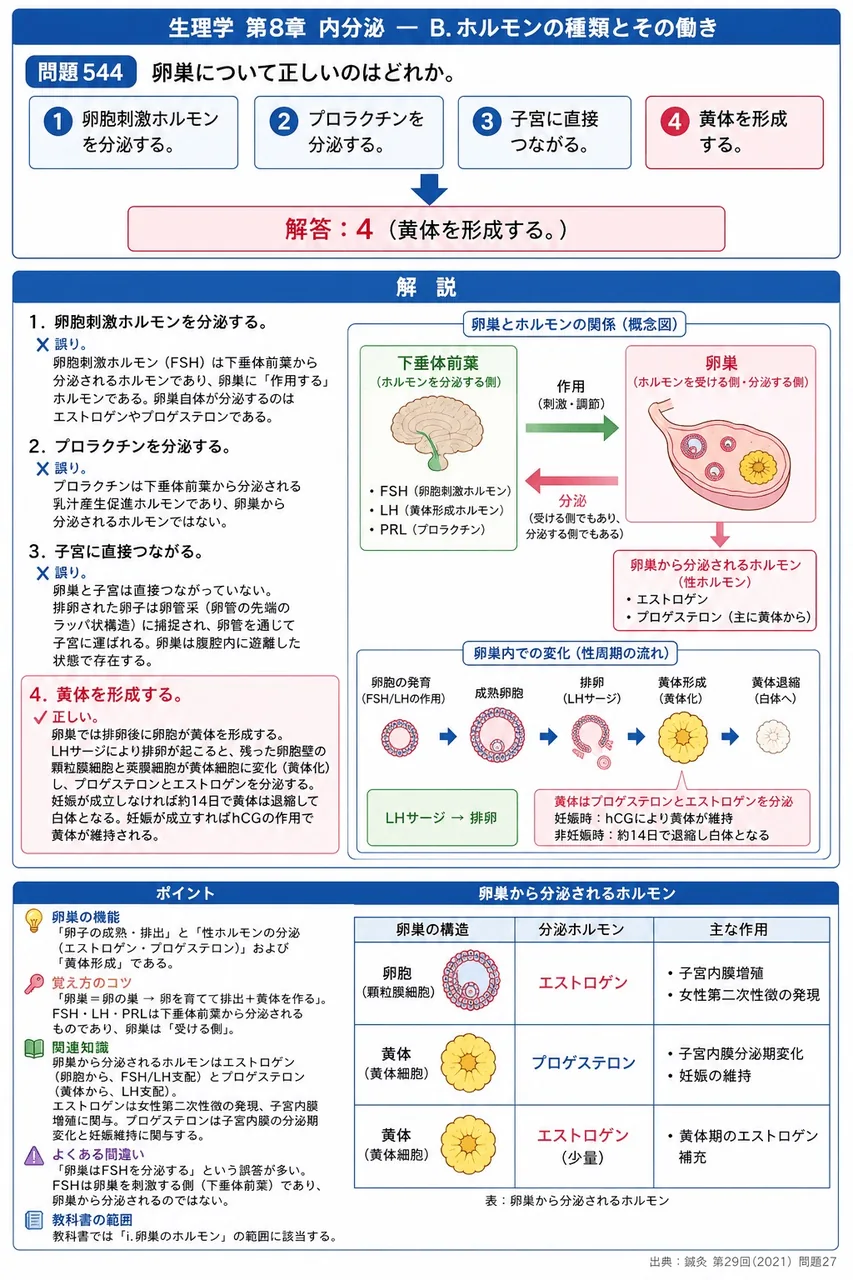 鍼灸 第29回(2021) 問題27|卵巣について正しいのはどれか。 解説図