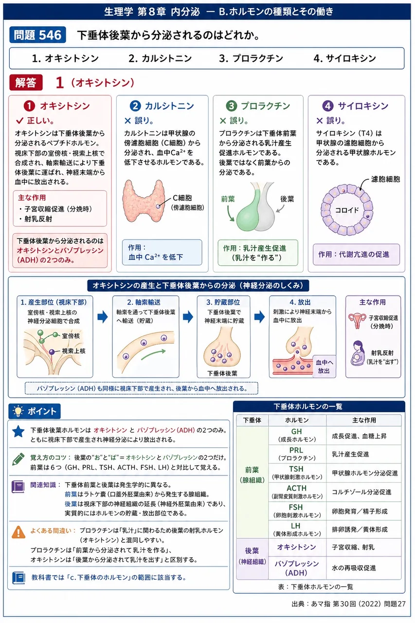 あマ指 第30回(2022) 問題27|下垂体後葉から分泌されるのはどれか。 解説図