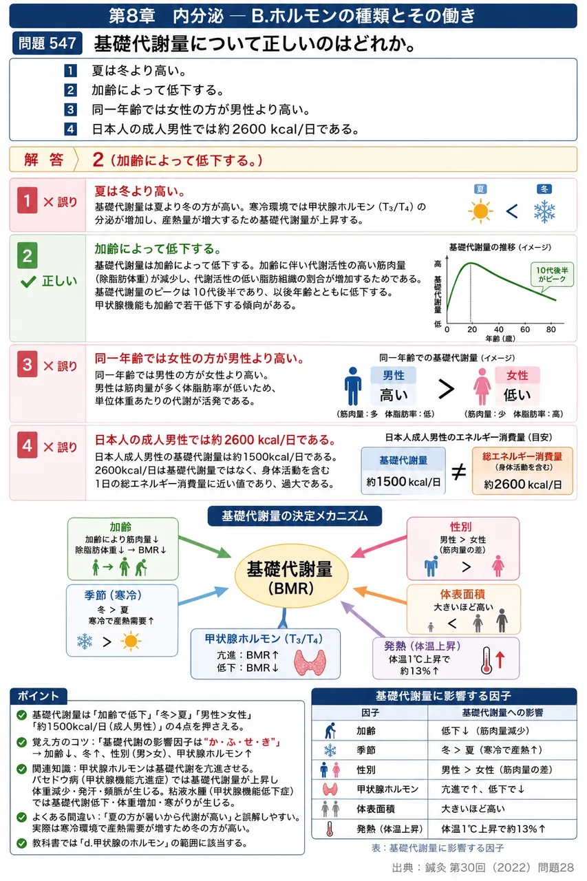 鍼灸 第30回(2022) 問題28|基礎代謝量について正しいのはどれか。 解説図
