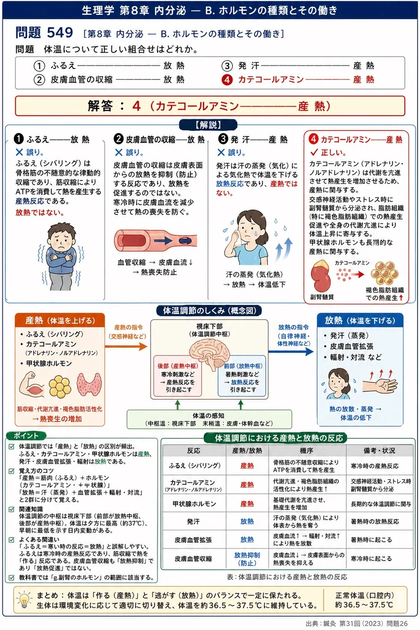 鍼灸 第31回(2023) 問題26|体温について正しい組合せはどれか。 解説図