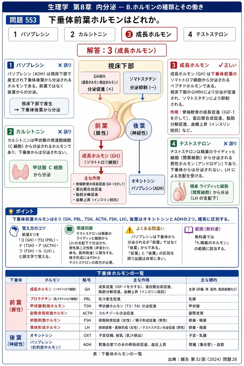 鍼灸 第32回(2024) 問題28|下垂体前葉ホルモンはどれか。 解説図