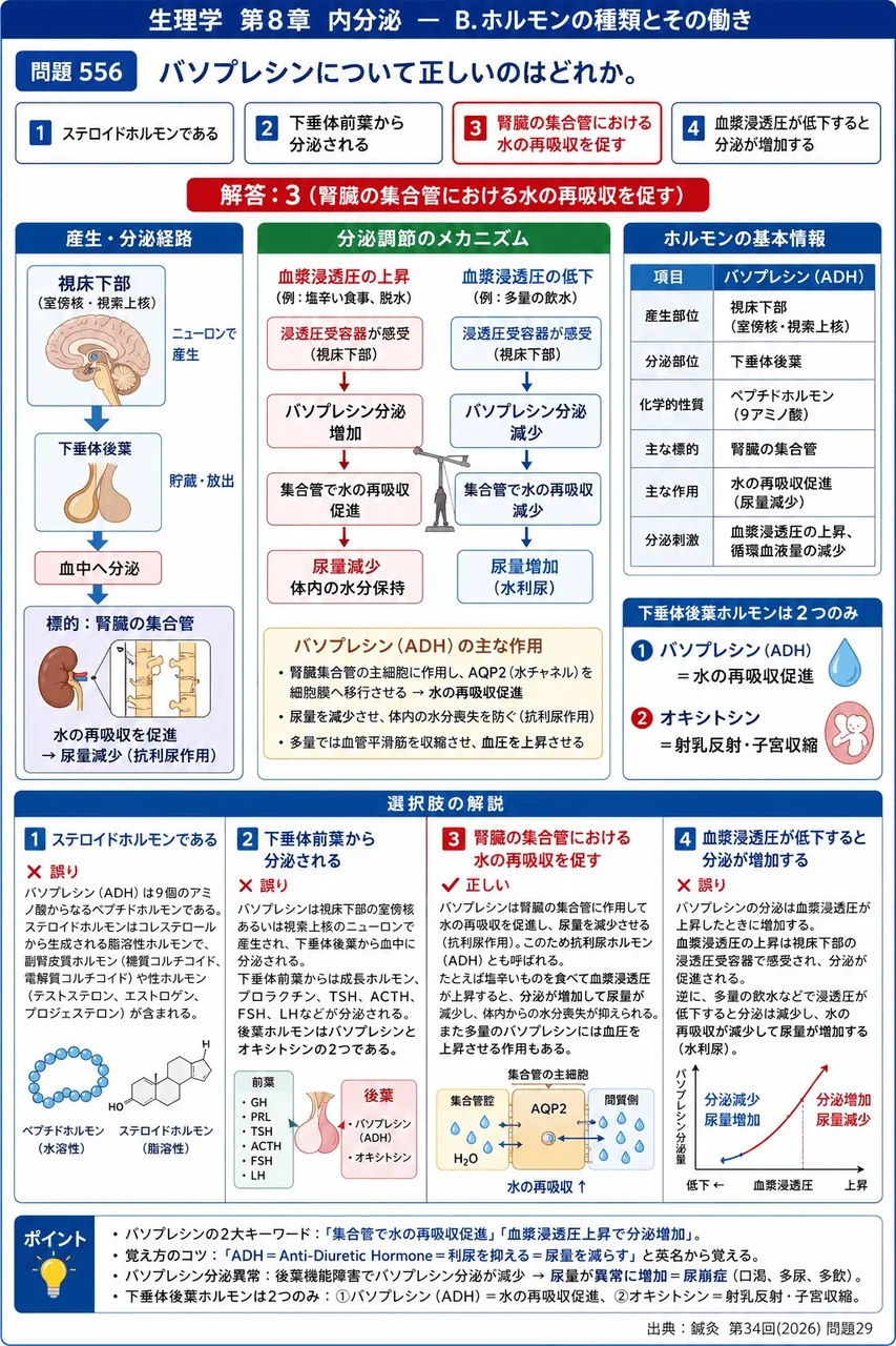 鍼灸 第34回(2026) 問題29|バソプレシンについて正しいのはどれか。 解説図
