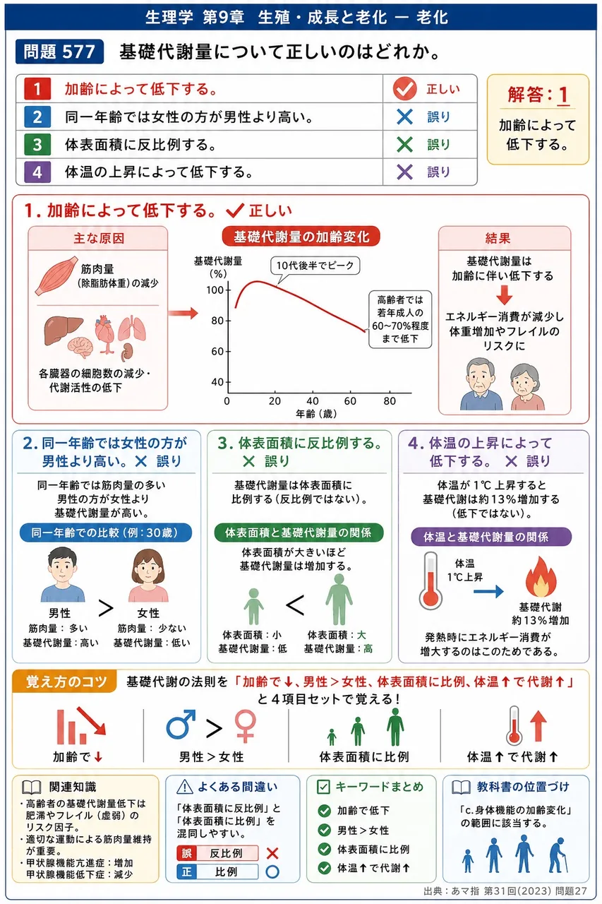 あマ指 第31回(2023) 問題27｜基礎代謝量について正しいのはどれか。 解説図