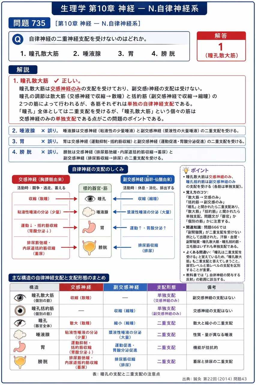 鍼灸 第22回(2014) 問題43|自律神経の二重神経支配を受けないのはどれか。 解説図