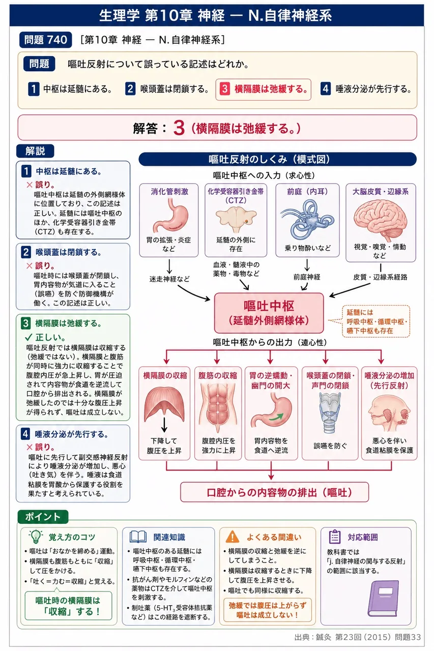 鍼灸 第23回(2015) 問題33｜嘔吐反射について誤っている記述はどれか。 解説図