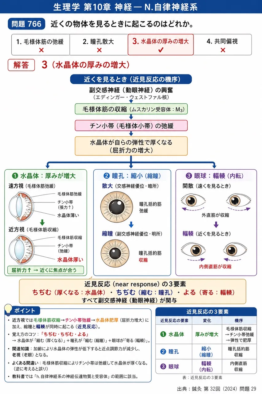鍼灸 第32回(2024) 問題29｜近くの物体を見るときに起こるのはどれか。 解説図