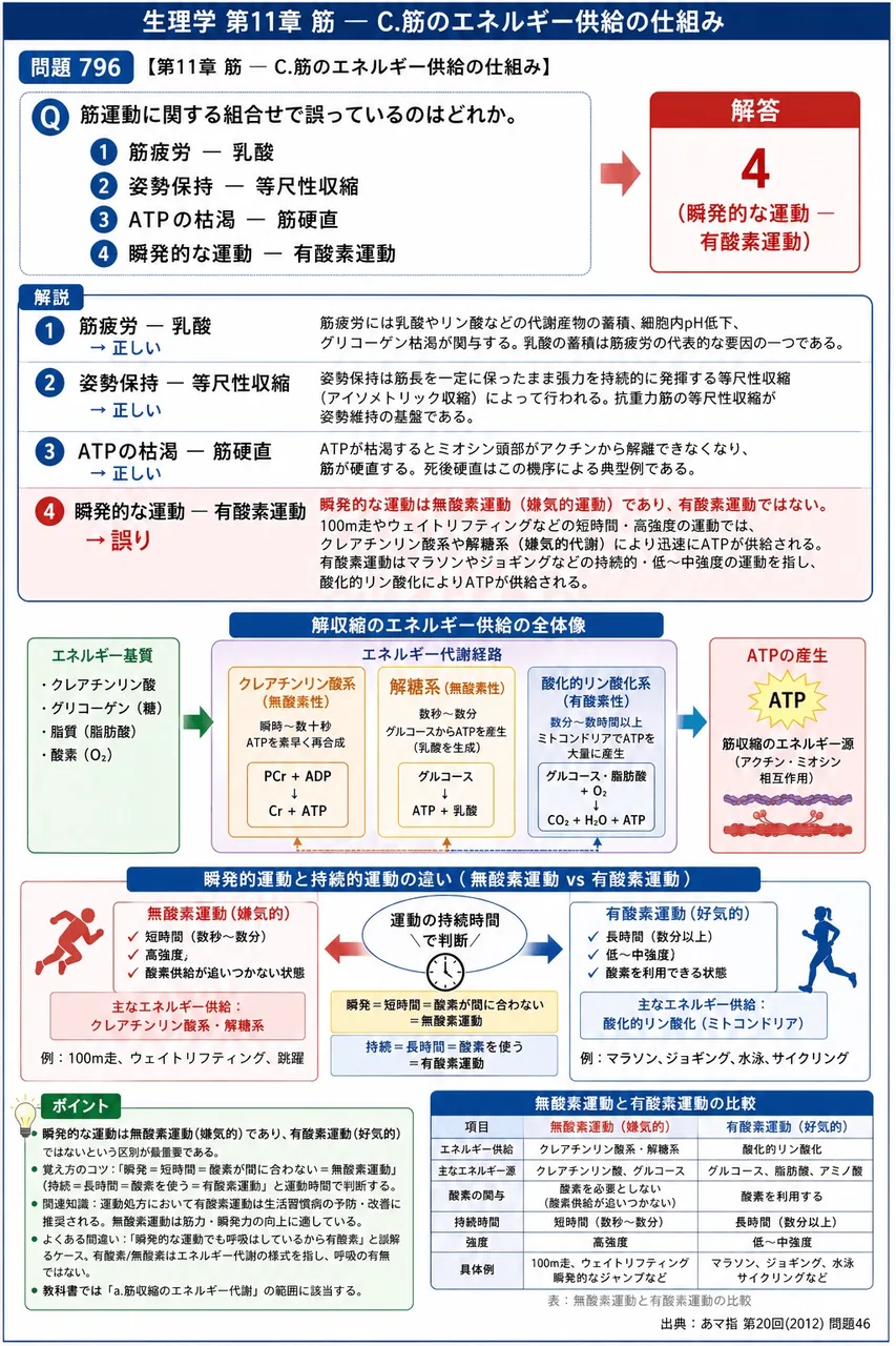 あマ指 第20回(2012) 問題46|筋運動に関する組合せで誤っているのはどれか。 解説図