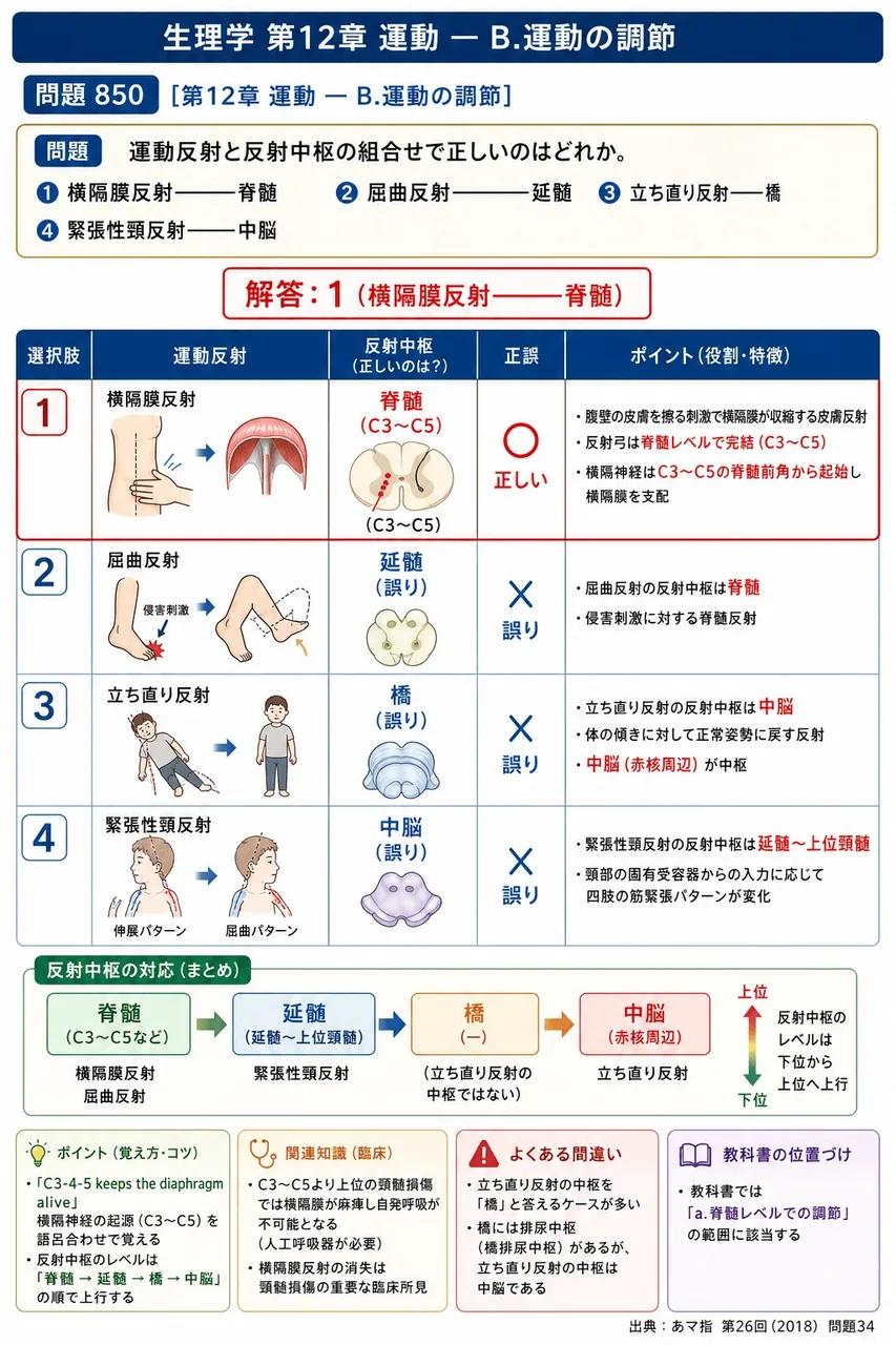 あマ指 第26回(2018) 問題34｜運動反射と反射中枢の組合せで正しいのはどれか。 解説図