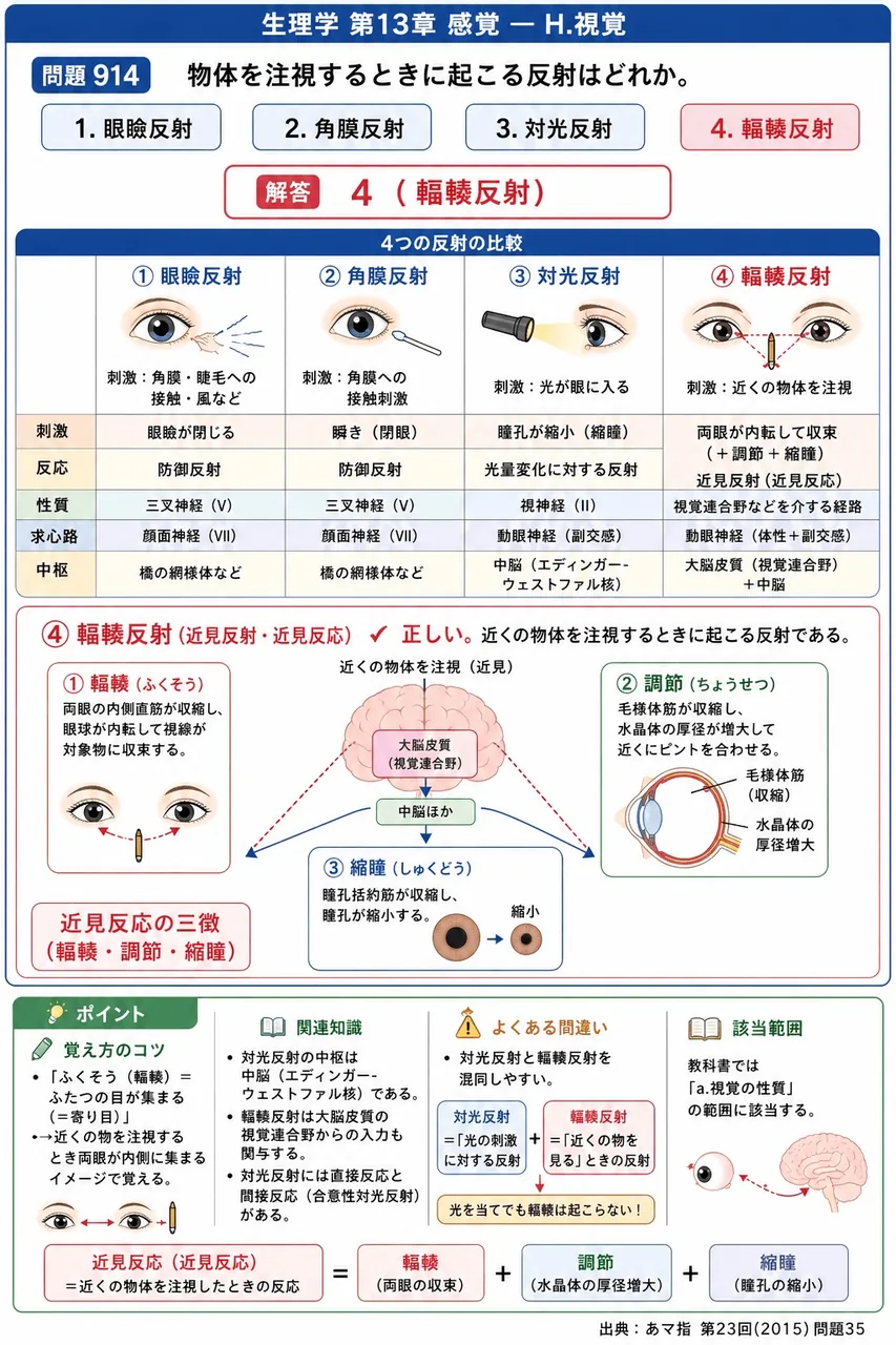 あマ指 第23回(2015) 問題35｜物体を注視するときに起こる反射はどれか。 解説図