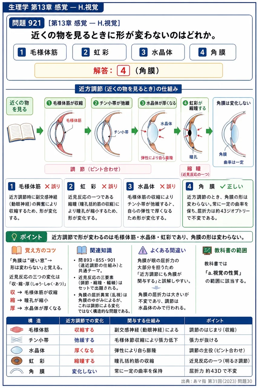 あマ指 第31回(2023) 問題30|近くの物を見るときに形が変わらないのはどれか。 解説図