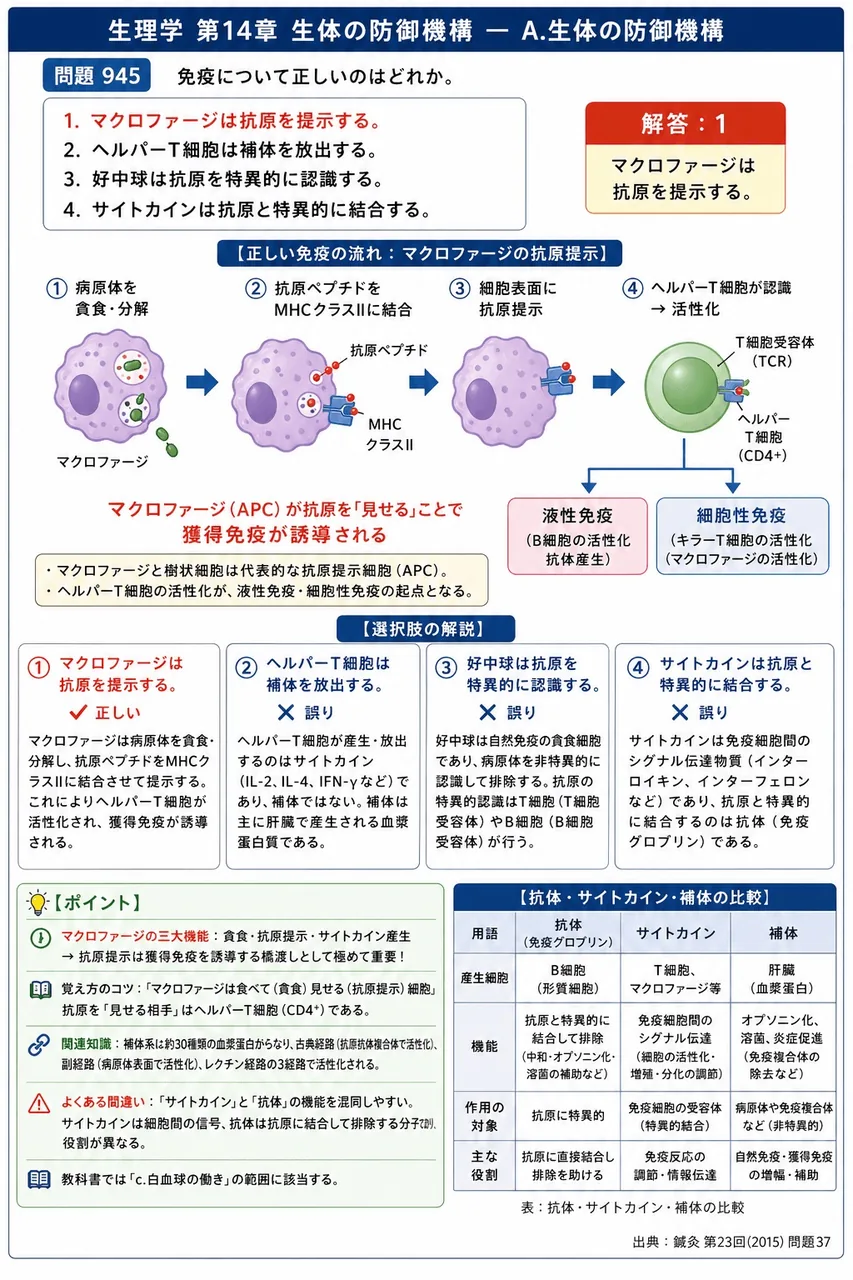 鍼灸 第23回(2015) 問題37｜免疫について正しいのはどれか。 解説図